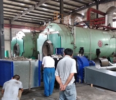 新疆锅炉低氮改造